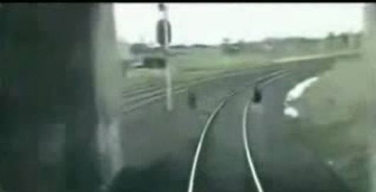 На волосок от смерти