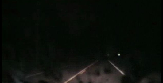 Олень VS полицейский автомобиль