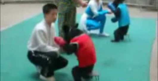 Бокс медведей