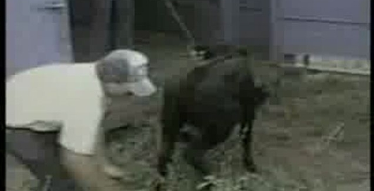 Всё больно ((