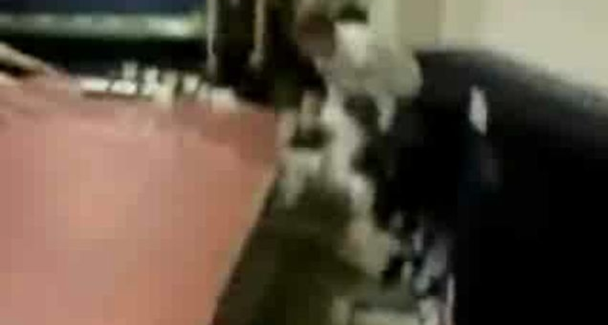 Девушка накаутировала парня