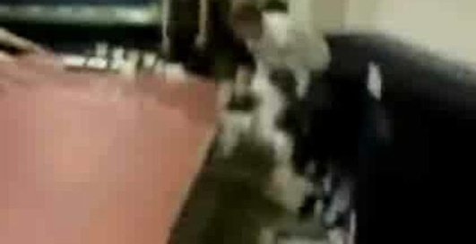 Девушка накаутировала парня