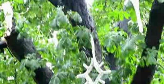 Буревій у Львові