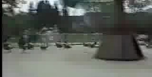 Жесть. Авария в парке