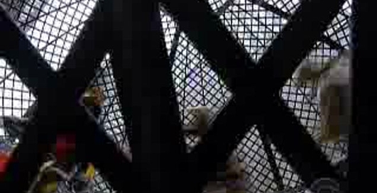 Головкружительное мастерство