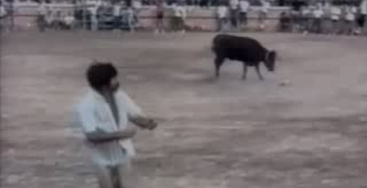 Додразнился - штанов лишился