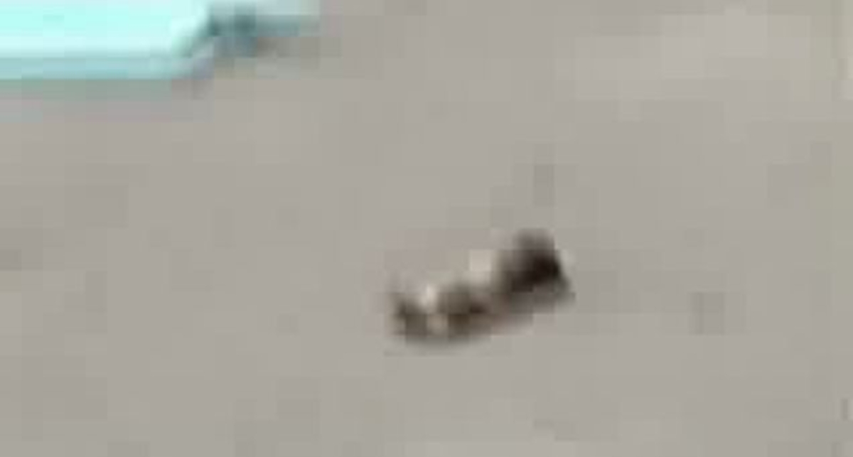 Скниловская авиакатастрофа