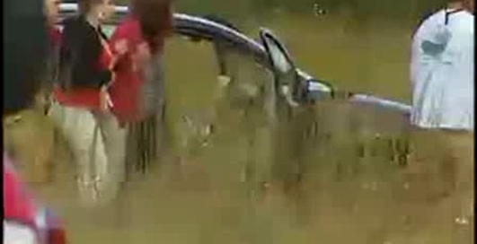 Семейные разборки с дракой