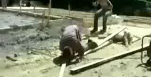 Жестокий прикол