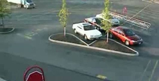 Трейлер заехал на стоянку