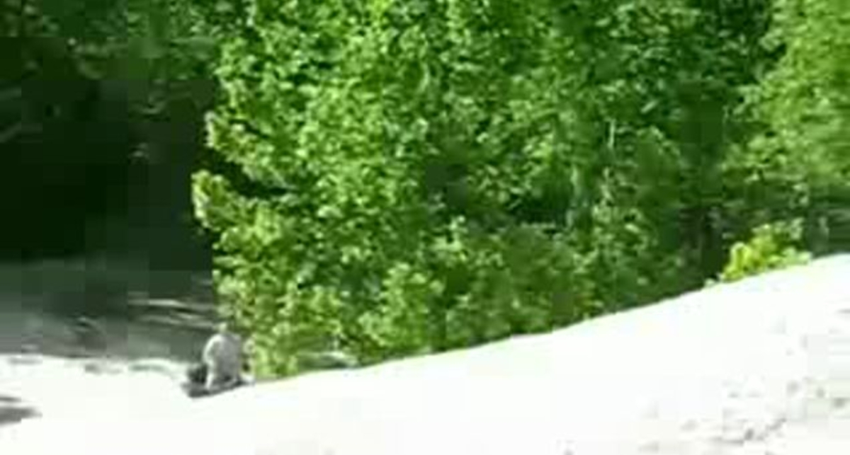 Докатался