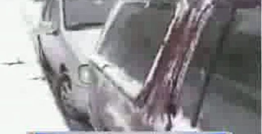 Вот и пришла зима (часть 1)