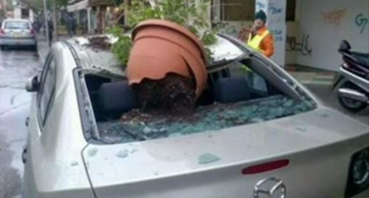 Слабонервным  не смотреть