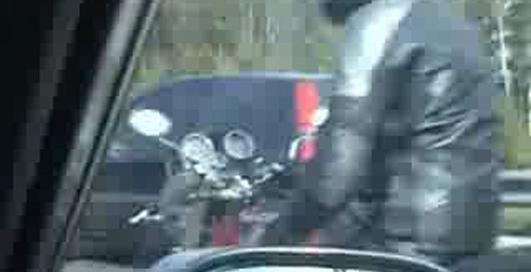 Особо опасный Вася