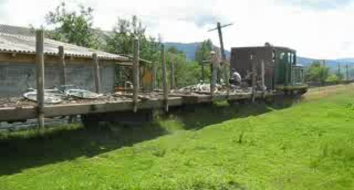 ТУ4-1695 с порожняком уходит в горы, Выгодская УЖД, Ивано-Франковск ая обл.