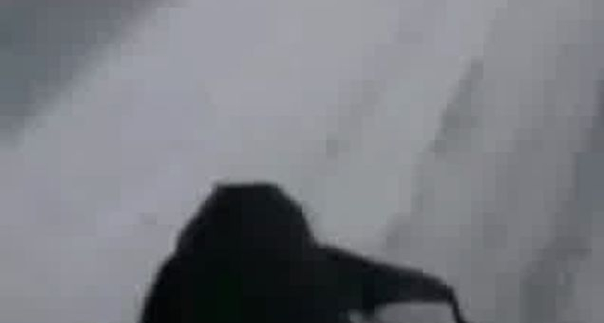 Ужраный в доску за рулем