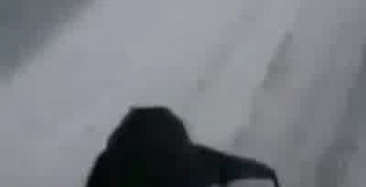 Ужраный в доску за рулем