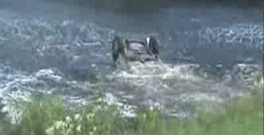 Интересные моменты из раллийных гонок 2009