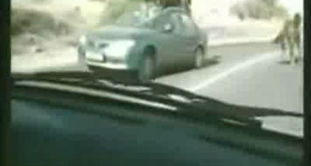 Лошадь пробила лобовое стекло автомобилю. Сама не пострадала