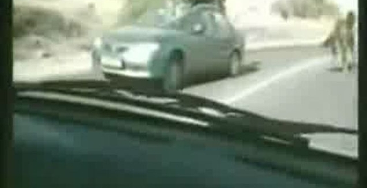 Лошадь пробила лобовое стекло автомобилю. Сама не пострадала