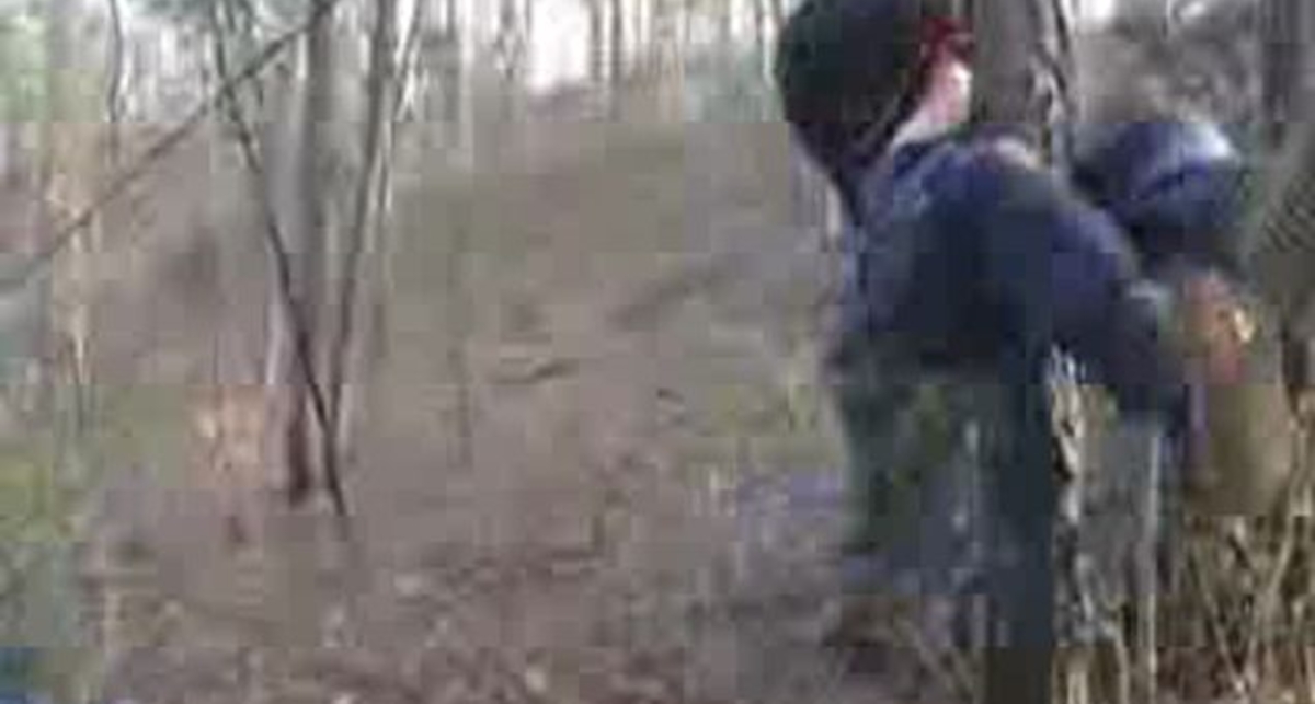 Ударился яйцами о дерево - прощайте детки!