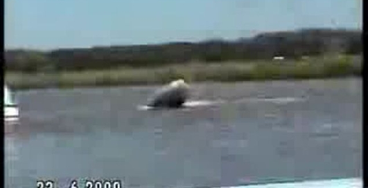 Парень не удержался на лодке