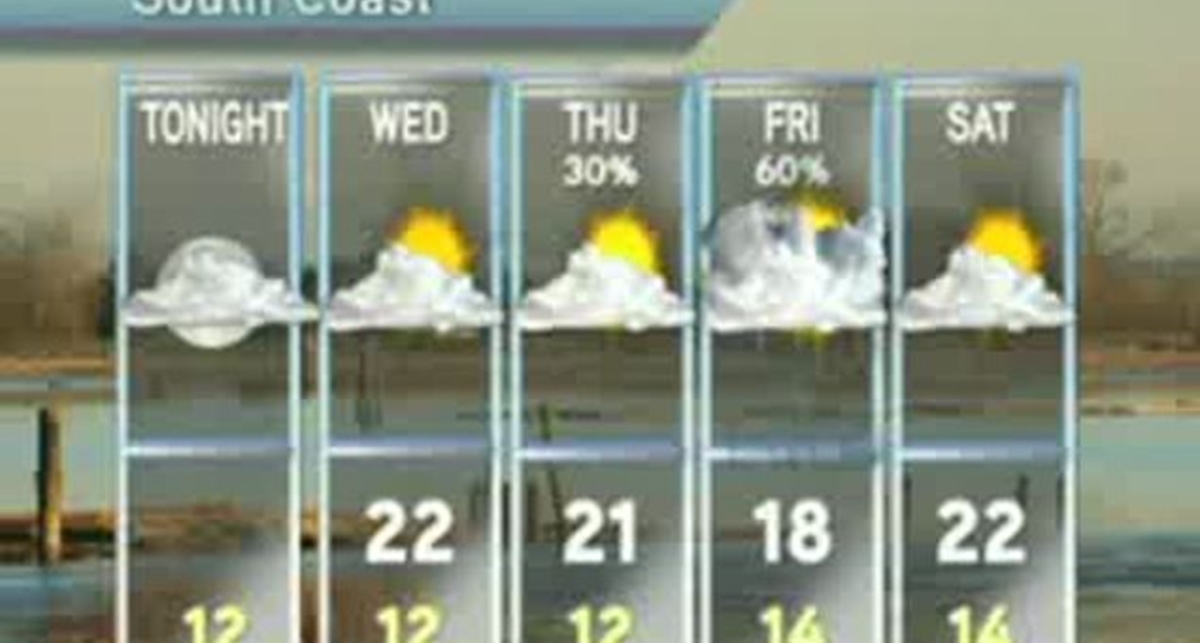 Собаки в прямом эфире - не предсказуемы