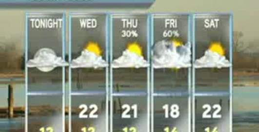 Собаки в прямом эфире - не предсказуемы