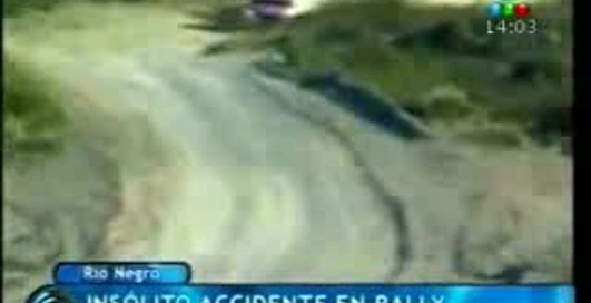 Гоночная машина сбила лошадь