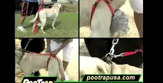 Magic Poop Collector - очередное идиотское изобретение