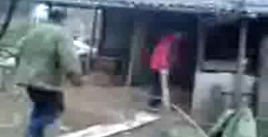 Ну ради интереса