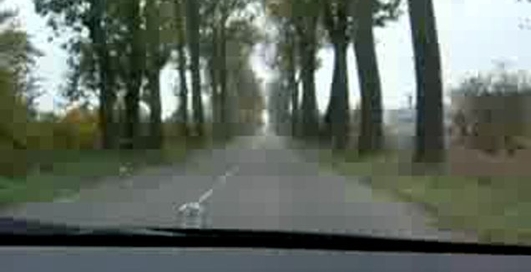 Mercedes AMG W124, 290km/h