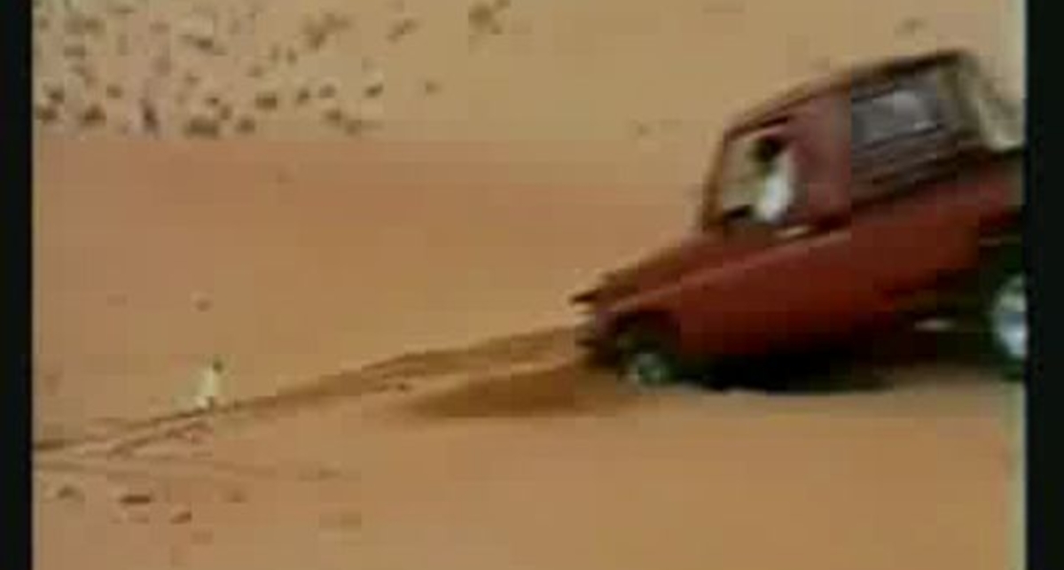 Везунчики - нарезка 