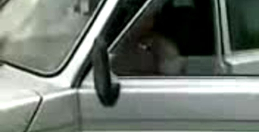 Дедуля против милиционера