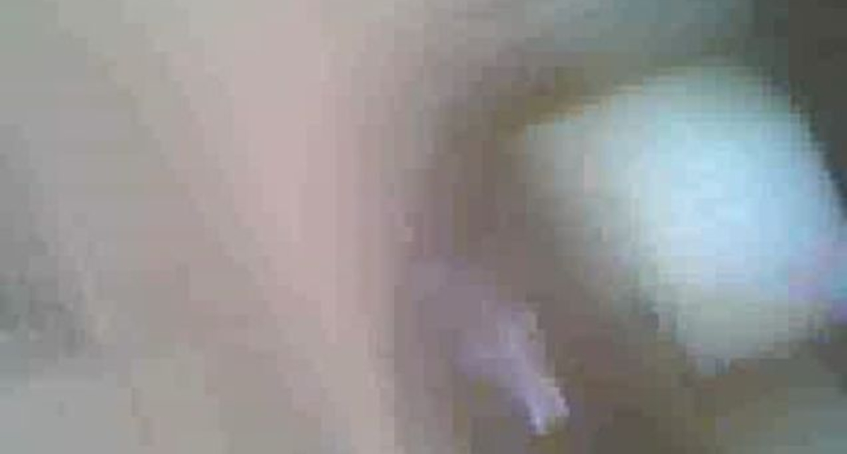 Действия милиционера, выбросившего права автомобилиста, признаны законными