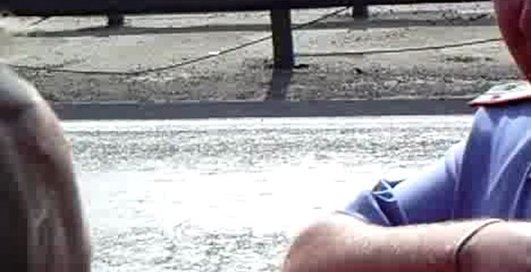 Им пофигу всякие там 185 приказы.