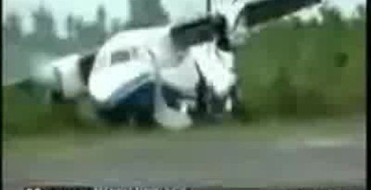 Крушение самолета из-зи собаки