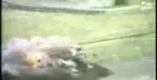 Жуткие аварии/Terrible crash