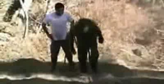 Верёвка не выдержала