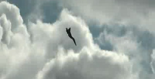 Катастрофа Белорусского СУ-27 на аэрошоу в г.Радом, Польша.