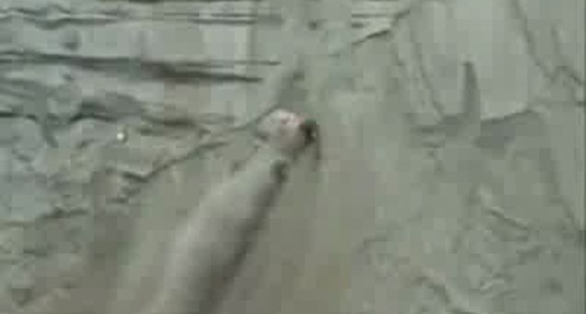 Гонки по вертикали