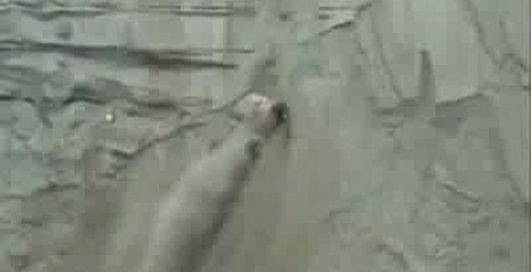 Гонки по вертикали