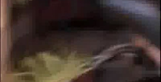 Дивысь, откуда мы летели