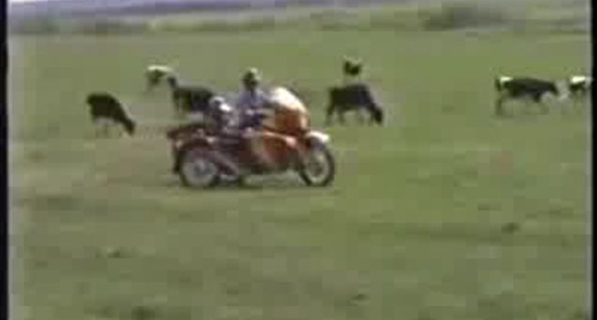 Приключения американцев в России