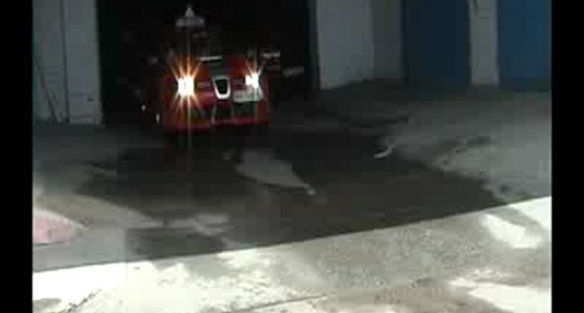 V.I.P. Автошкола 