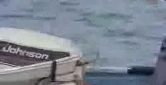 Веселенькая рыбалка!