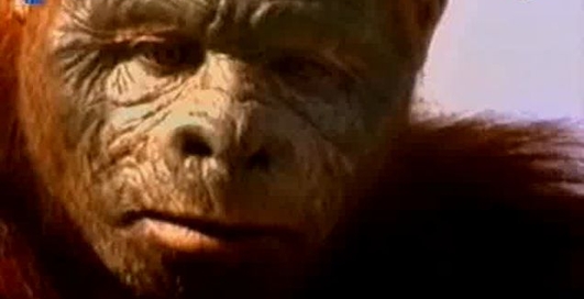 Апокалипсис 2012 года.