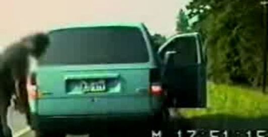 Какой толк от тетки-полицейской?