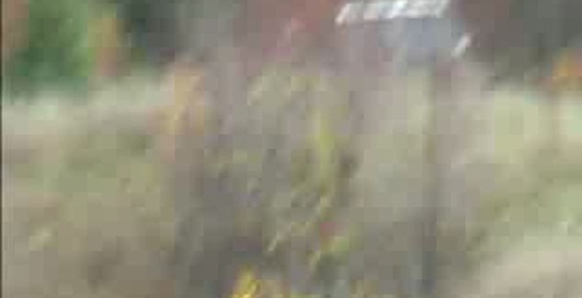 Трофи-экспедиция Белогорский монастырь