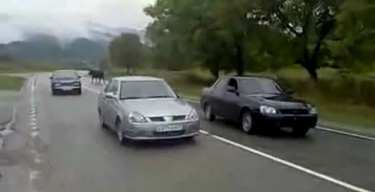 Стритрейсер улетел в кювет